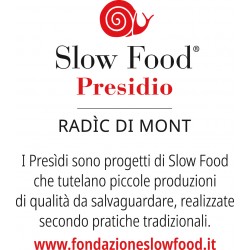 Germogli di Cicerbita alpina in agrodolce (Radic di Mont), 190g, Presidio Slow-Food
